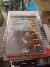 Dvd bunuel bella usato  Torino