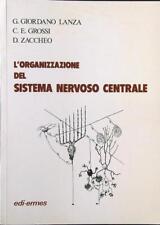 Organizzazione del sistema usato  Italia