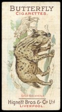 Hignett animal pictures for sale  LLANRWST