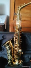 Sax alto selmer usato  Solferino
