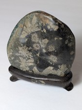 Chrysanthemum stone suiseki for sale  Pacoima