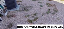 Weeding rake offers for sale  Chino Valley