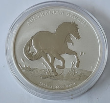 2020 australian brumby gebraucht kaufen  Winnenden