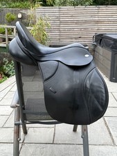 Thorowgood high wither for sale  PERRANPORTH