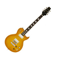 Gitarre aria 350 gebraucht kaufen  Radebeul