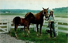 Bob evans farms for sale  USA