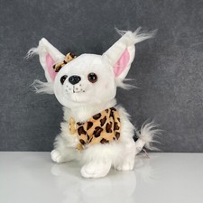 Chihuahua puppy dog for sale  ROTHERHAM