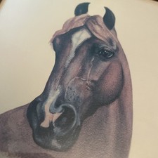 Vintage horse colored for sale  Medford