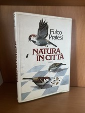 Natura citta fulco usato  Ravenna