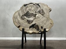 Fetta legno pietrificato usato  Fontanella