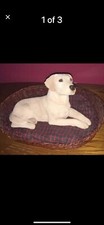 Sandicast yellow labrador for sale  Lake Ariel