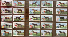 Derby entrants original for sale  DARLINGTON