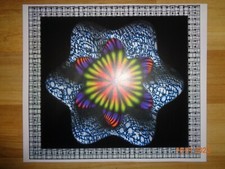 Psychedelic art print gebraucht kaufen  Kiel