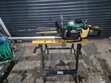 Essential petrol hedge for sale  NOTTINGHAM