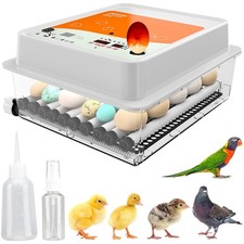 Egg incubator with usato  Spedire a Italy