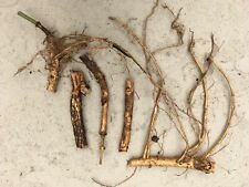 Start year crop for sale  Atlanta
