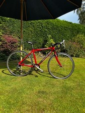 Islabike luath for sale  WELSHPOOL
