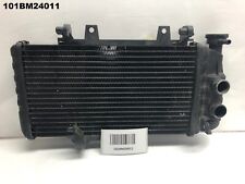 Radiador BMW F 650GS F 700GS F 800R 2004 - 2015 ORIGINAL DO FABRICANTE LOTE 101 101BM24011 comprar usado  Enviando para Brazil