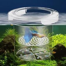 Acrylic floating fish for sale  CHATTERIS