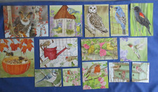 Lot bird images for sale  Reese