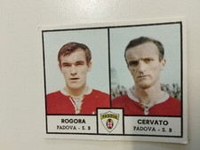 Rara rogora cervato usato  Novafeltria