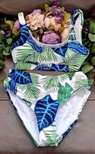 Blooming jelly tropical for sale  MATLOCK