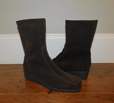 Canadienne 7.5 elena for sale  Lafayette