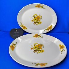 Orange yellow serving for sale  PULBOROUGH