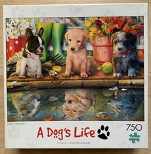 Dog days puppy for sale  Framingham