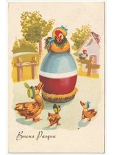 1954 uovo gallina usato  Italia