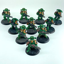 Esquadrão de Apoio Tático - Salamandras - Pintado - Warhammer Horus Heresy GW C5901 comprar usado  Enviando para Brazil