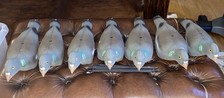 Pigeon decoys shooting for sale  IPSWICH