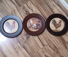 gamefowl chickens for sale  Williamsburg
