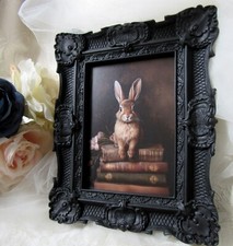 Frame rabbit 5x7 for sale  Fort Lawn