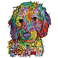 Sweet doodle dog for sale  Olivet