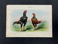 Galo de galinha vintage colorido litho livro prato impressão 1890 Jogos Indígenas comprar usado  Enviando para Brazil