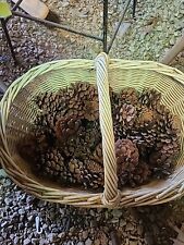 basket pine cones for sale  Atkinson