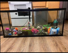 Large gallon fish for sale  San Diego