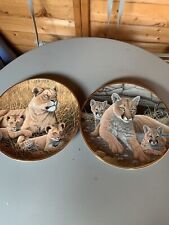 african lioness cubs for sale  SANDBACH