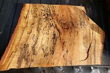 slabs lumber maple wood for sale  Hamilton