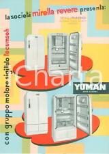 1955 yuman frigoriferi usato  Italia