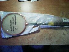 Copia racchette badminton usato  Squinzano