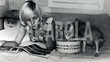 Foto de prensa vintage del Reino Unido, Barbara en la cama con el canguro, impresión 9 3/8x7 1/8 in segunda mano  Embacar hacia Mexico