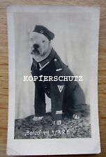 Portrait Foto - Postkarte / Hund in Reichswehr Uniform / Artillerie Regiment 6 * gebraucht kaufen  Stöcken