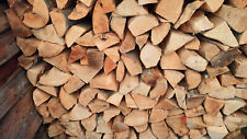 Buchen brennholz trocken gebraucht kaufen  Wangen