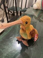 Beak kiwi bird for sale  Philadelphia