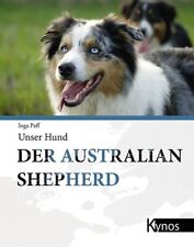Australian shepherd gebraucht kaufen  Berlin