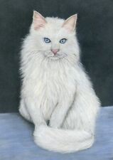 IMPRESSÃO de retrato de gato angorá turco branco animal de estimação de um desenho original comprar usado  Enviando para Brazil