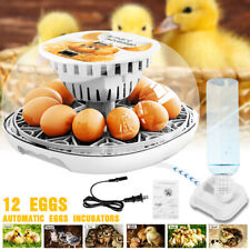 Egg incubator eggs for sale  Whippany