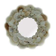 Mixed white seashell for sale  Winter Springs